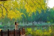 胜负足球彩票比分-揭秘胜负足球彩票比分预测，理性与运气的双重博弈