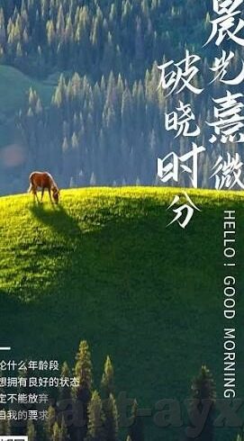 足球比分毒奶搞笑-足球比分里的毒奶魔法，一场笑料百出的欢乐盛宴